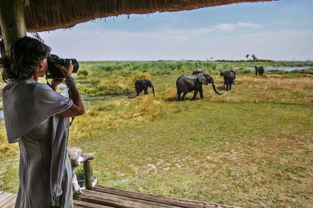 Selinda Camp Otel Selinda Reserve Dış mekan fotoğraf