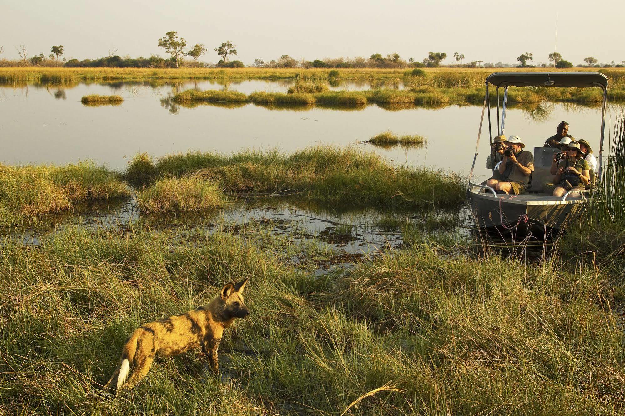 Selinda Camp Otel Selinda Reserve Dış mekan fotoğraf