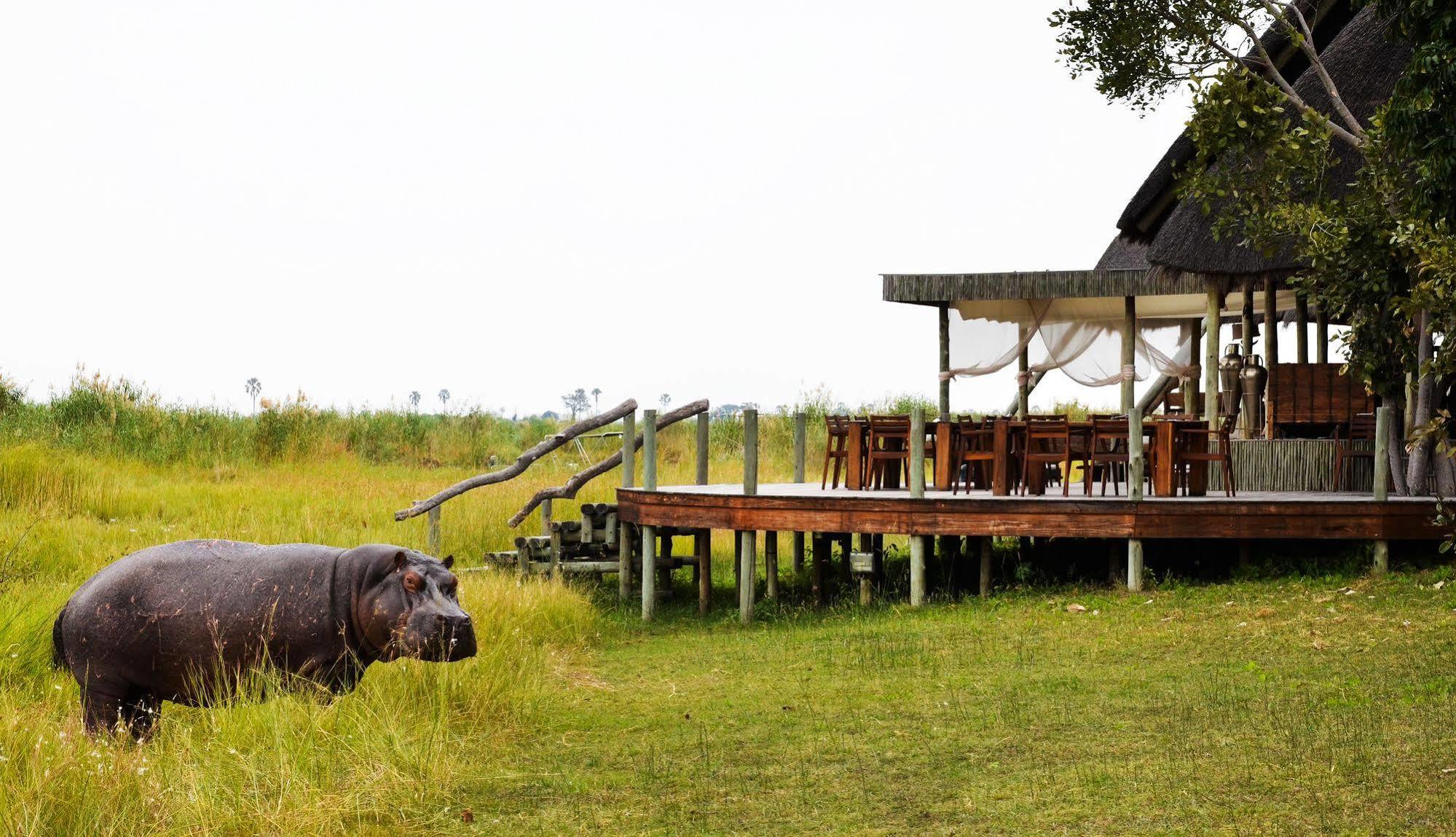 Selinda Camp Otel Selinda Reserve Dış mekan fotoğraf