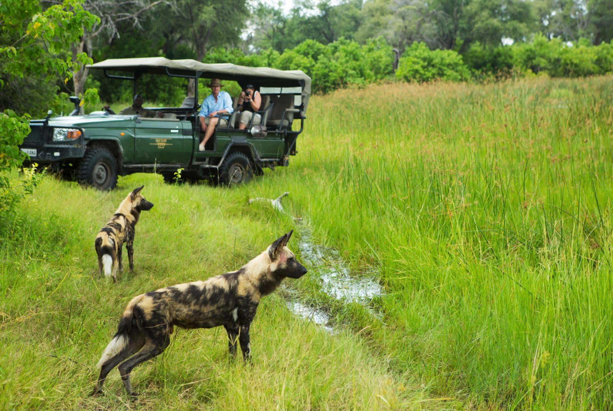 Selinda Camp Otel Selinda Reserve Dış mekan fotoğraf